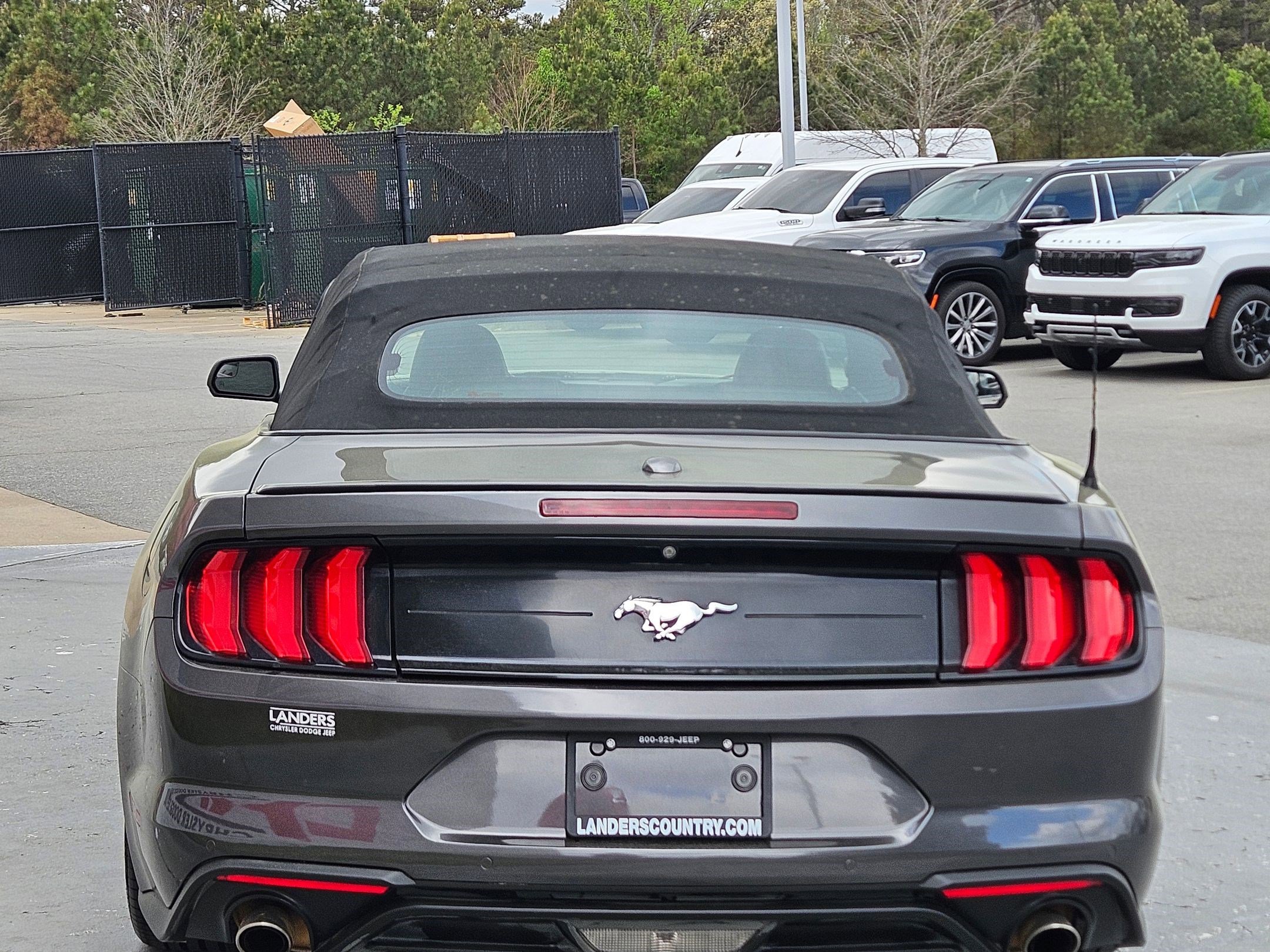 Used 2019 Ford Mustang Premium image 6