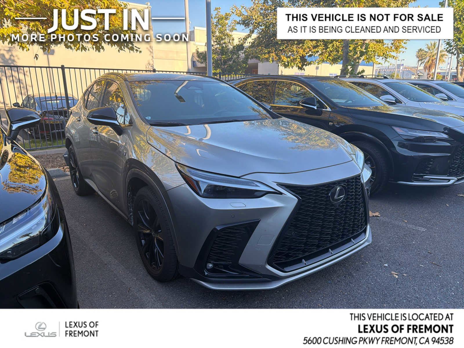 Used 2024 Lexus NX 350 F Sport