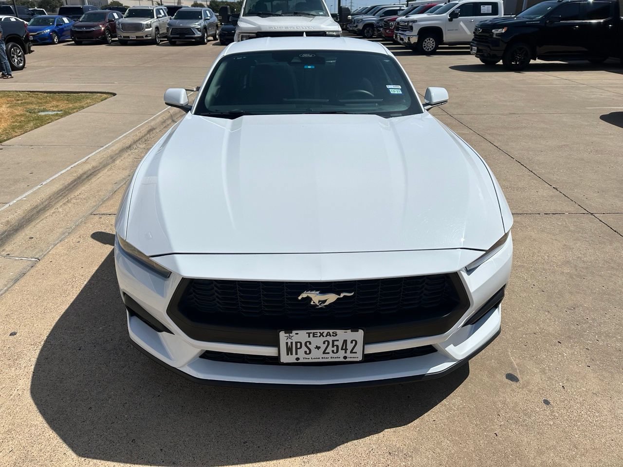Used 2025 Ford Mustang Coupe RWD image 2