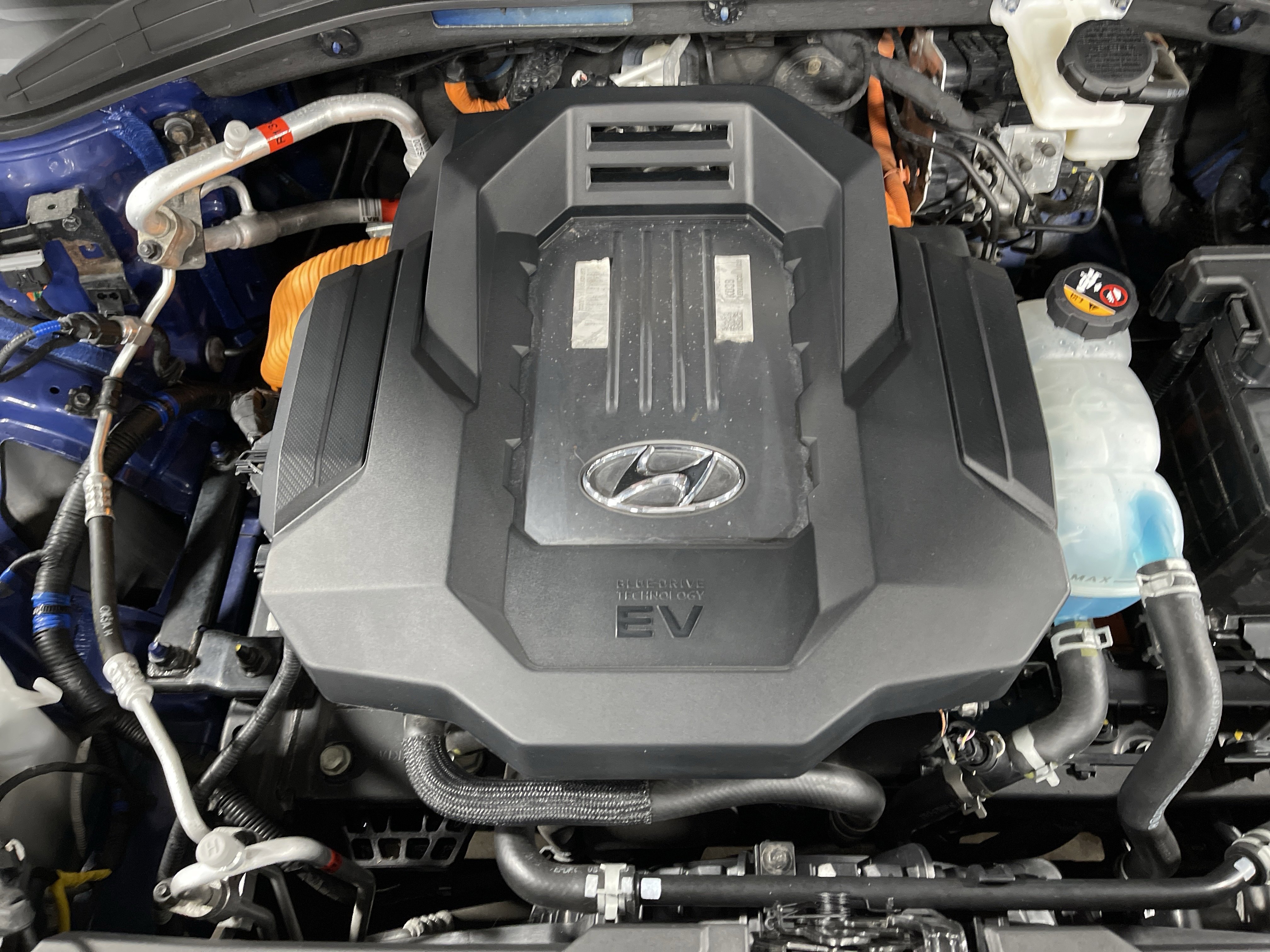 Used 2020 Hyundai Ioniq Limited image 16