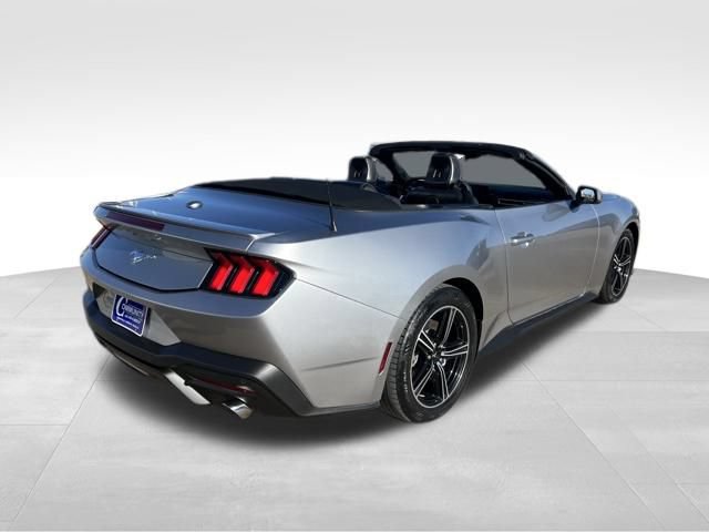 Used 2024 Ford Mustang Premium RWD image 7