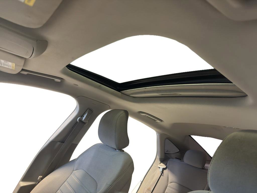 Used 2019 Ford Fusion SE FWD image 15