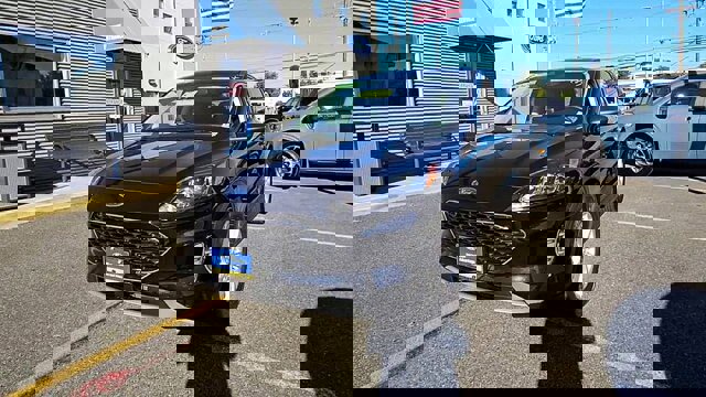 Certified 2022 Ford Escape SE image 3