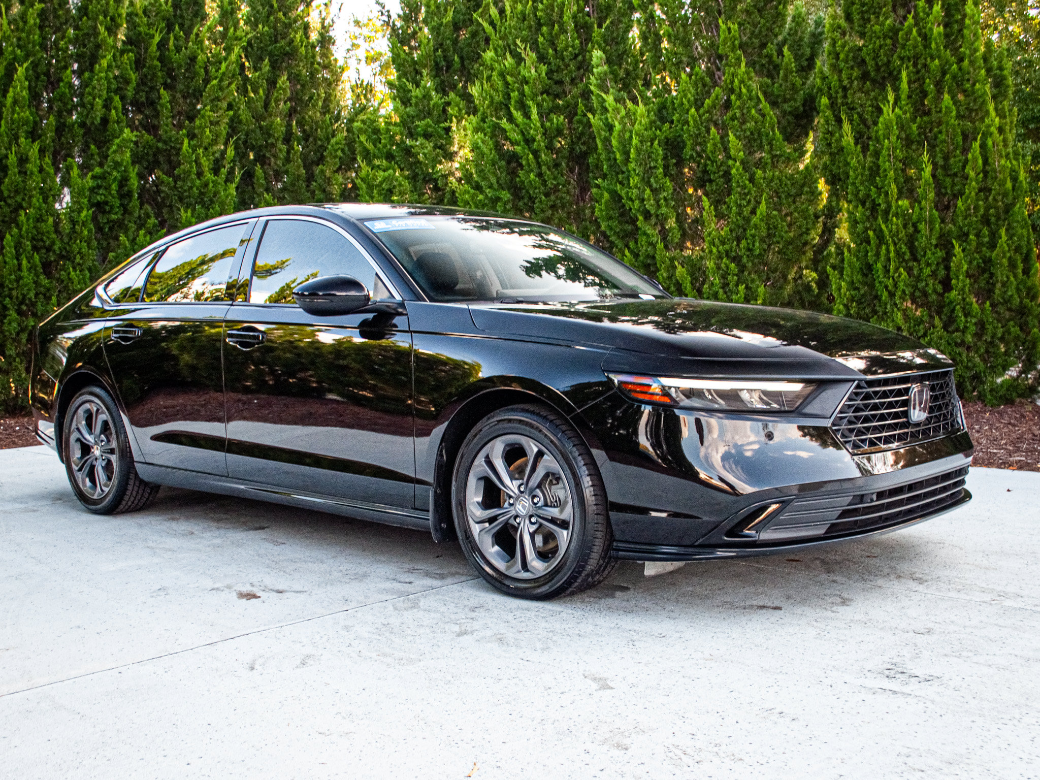 Used 2025 Honda Accord EX-L image 11