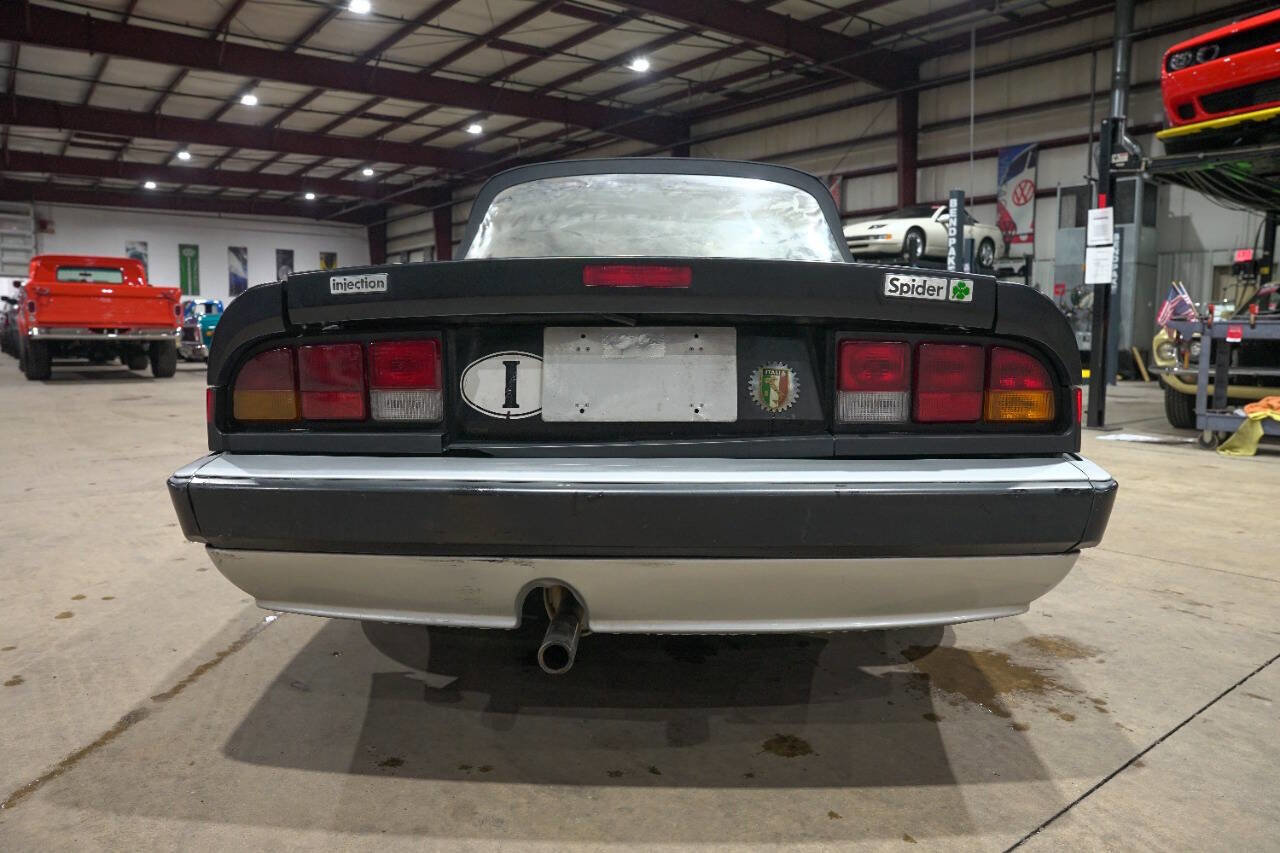 Used 1987 Alfa Romeo Spider Quadrifoglio image 5