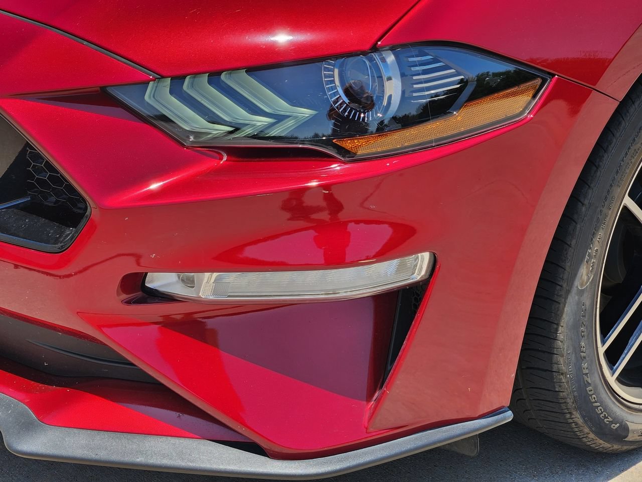 Used 2019 Ford Mustang GT Premium w/ Equipment Group 401A RWD image 6