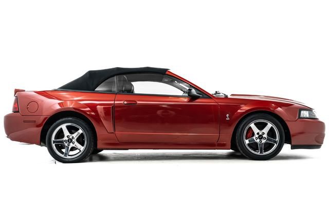 Used 2004 Ford Mustang Cobra RWD image 5