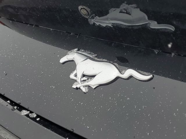 New 2026 Ford Mustang Premium image 6