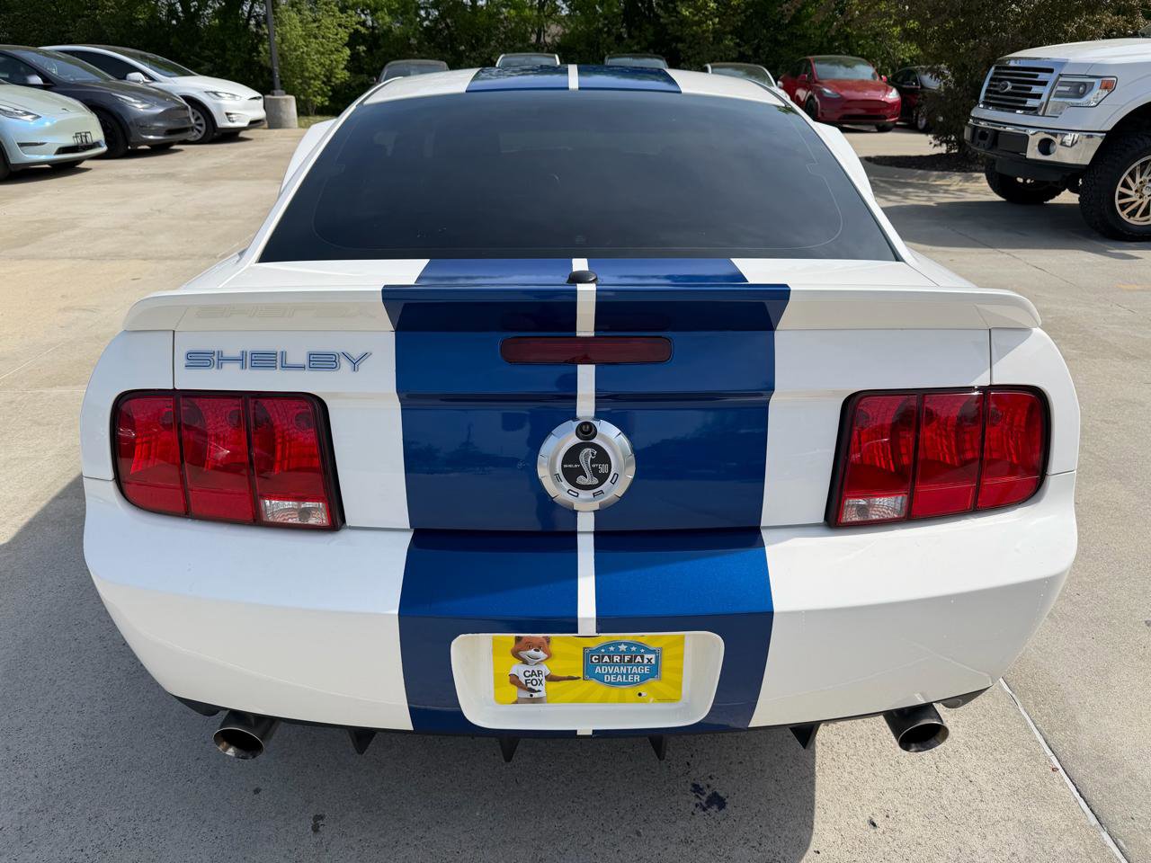 Used 2008 Ford Mustang Shelby GT500 image 6