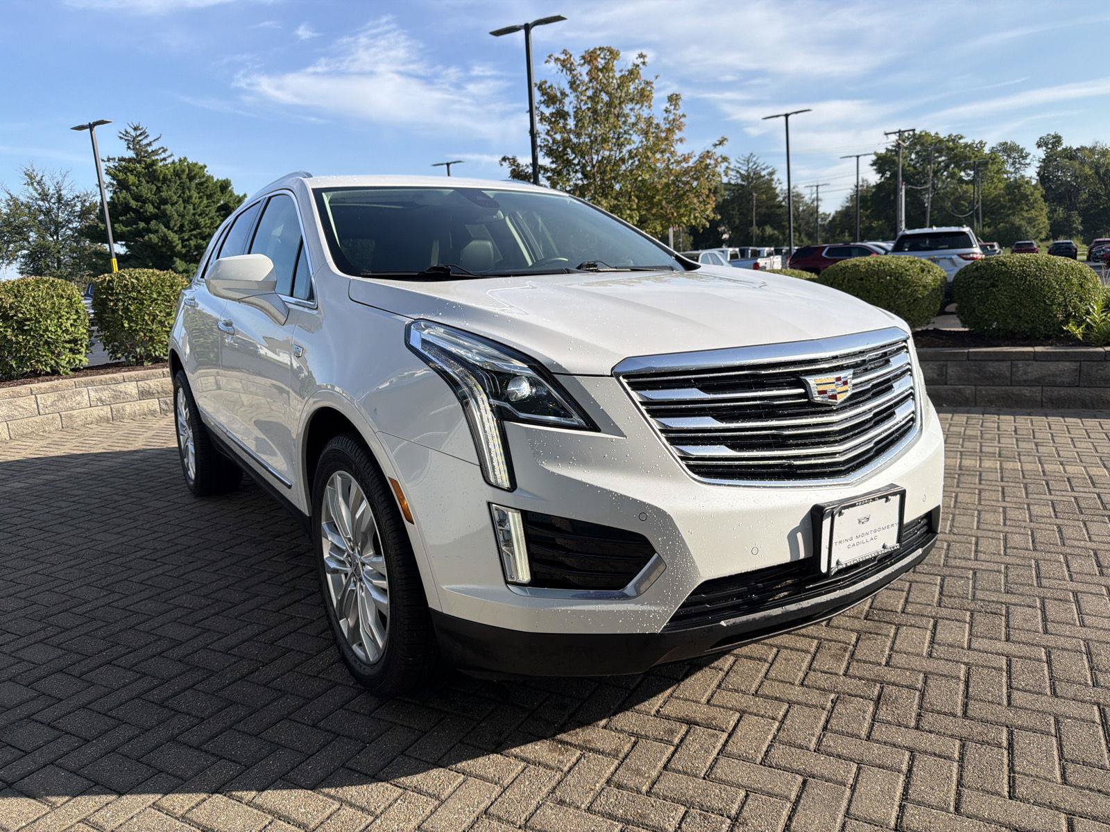 Used 2019 Cadillac XT5 Premium Luxury AWD/4WD image 7