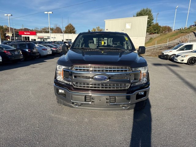 Used 2019 Ford F150 XLT w/ Equipment Group 302A Luxury image 3