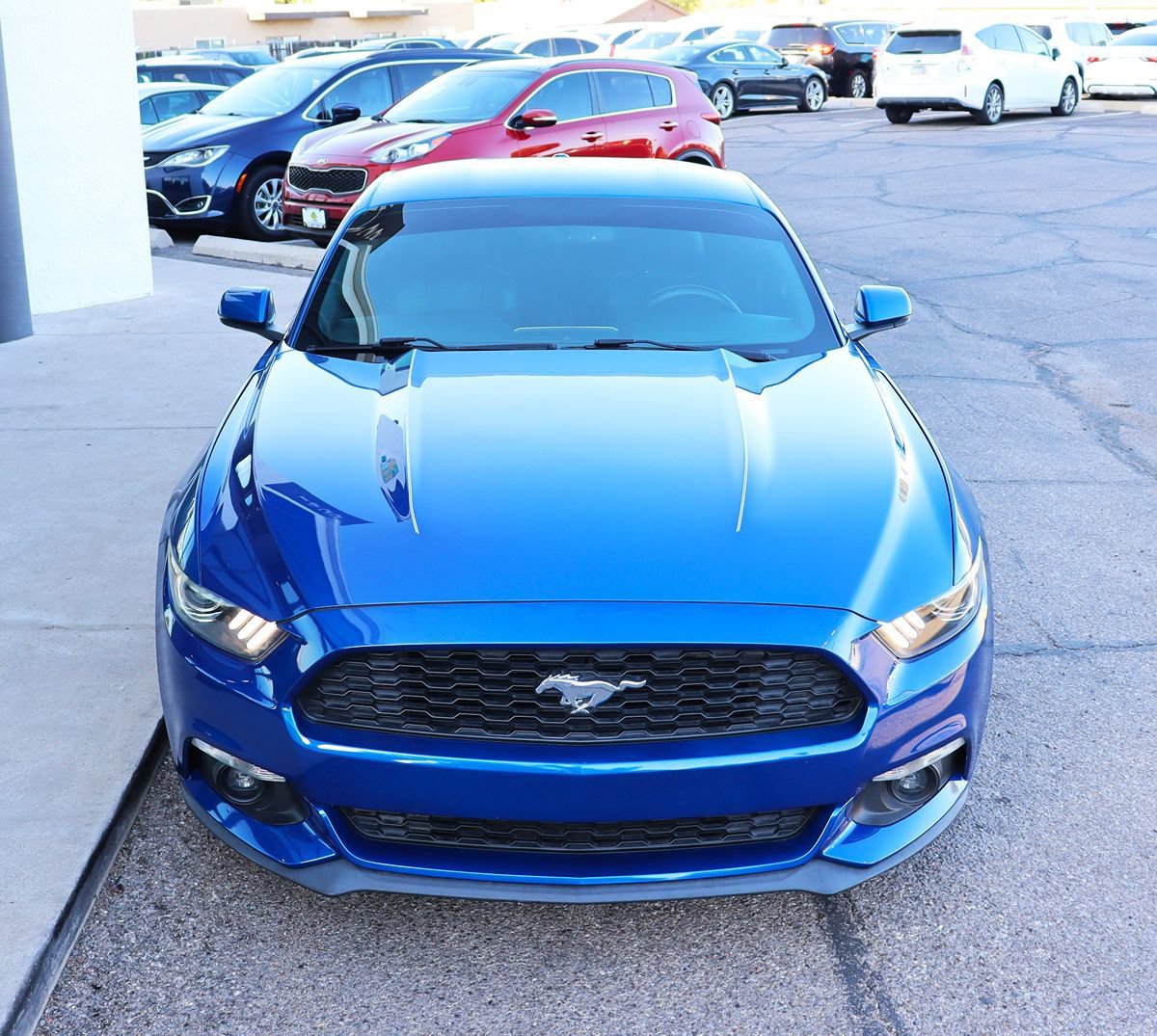 Used 2017 Ford Mustang Premium RWD image 15
