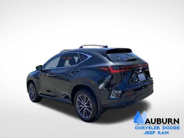 Used 2025 Lexus NX 350h AWD w/ Cold Area Package image 5