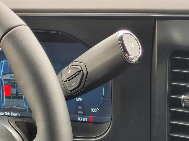 New 2026 Ford F250 Platinum w/ FX4 Off-Road Package image 19