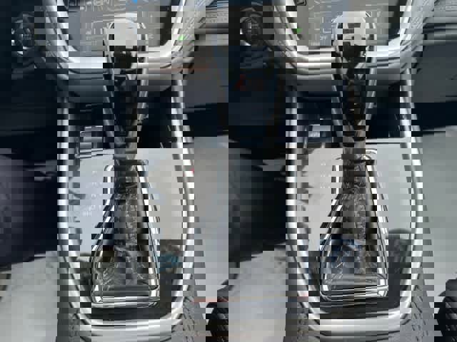 Used 2023 Subaru Outback Limited image 29