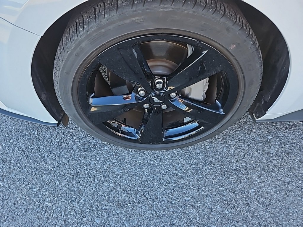 Used 2021 Ford Mustang GT Premium w/ Equipment Group 401A image 13