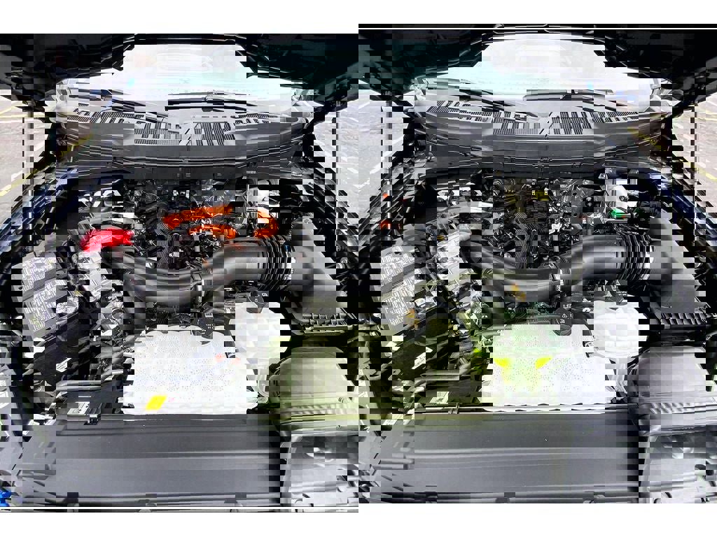 New 2025 Ford F150 XLT w/ Equipment Group 302A MID image 27