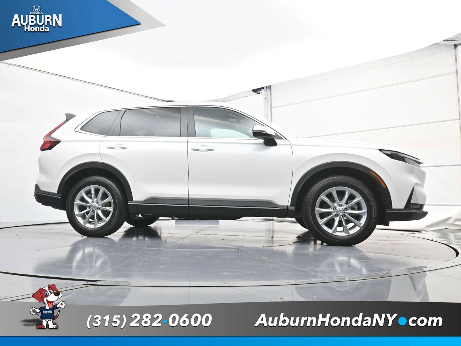 Used 2025 Honda CR-V EX-L image 20