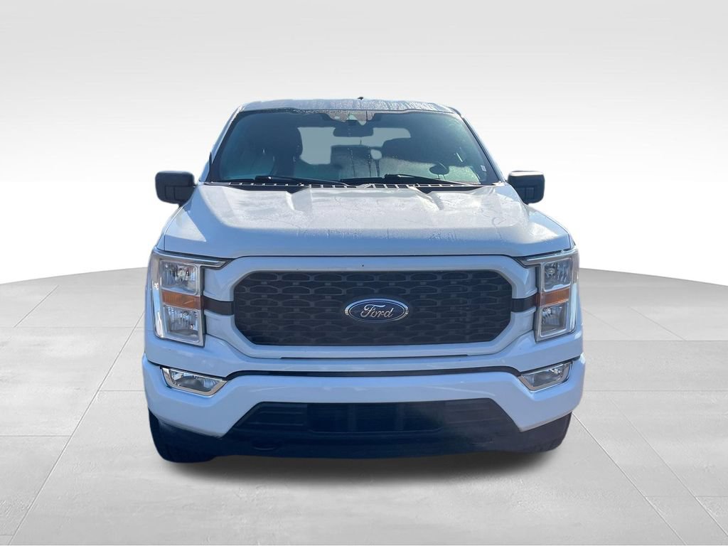 Used 2022 Ford F150 XL w/ STX Appearance Package AWD/4WD image 8