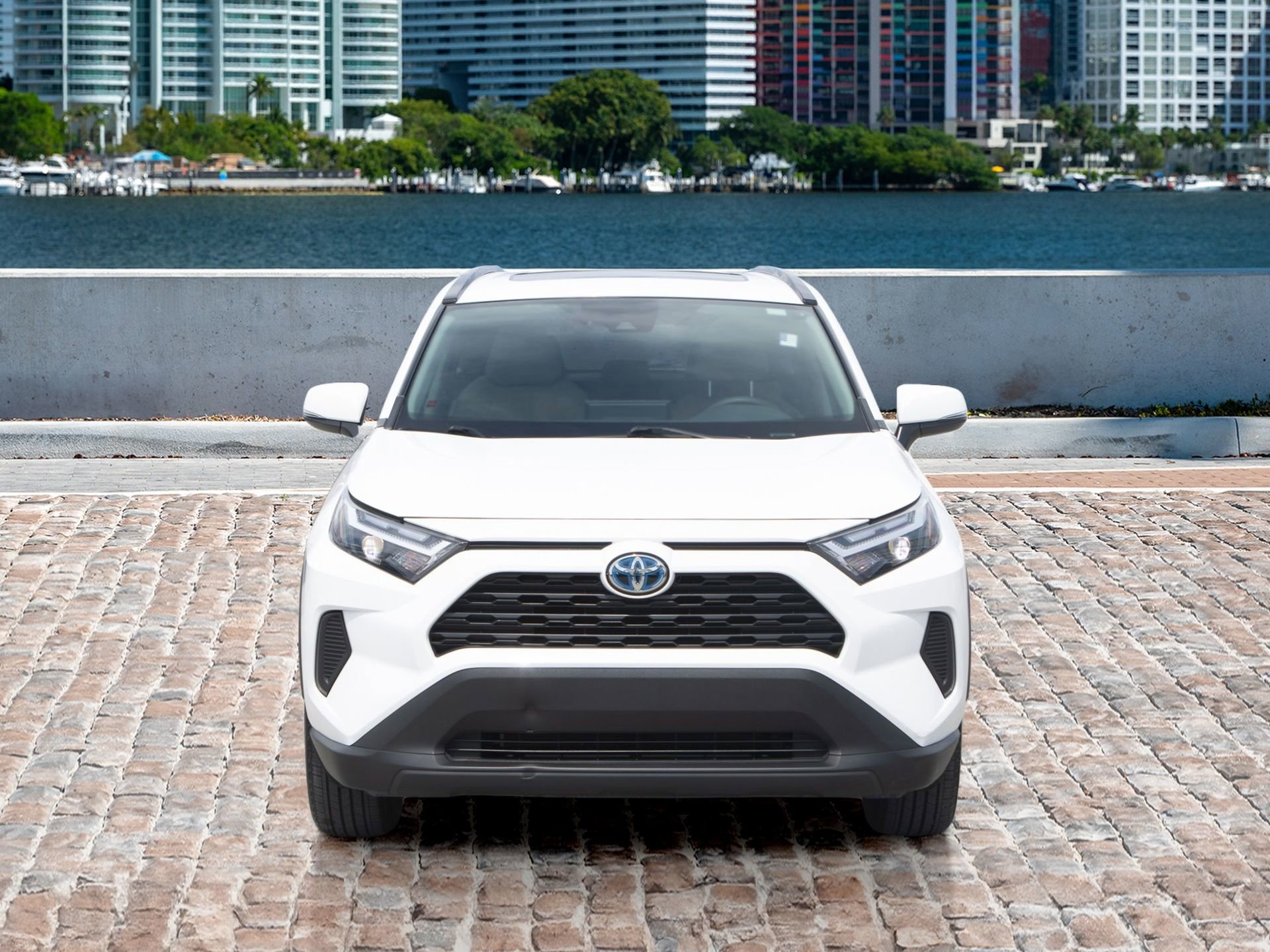 Used 2024 Toyota RAV4 XLE video 2