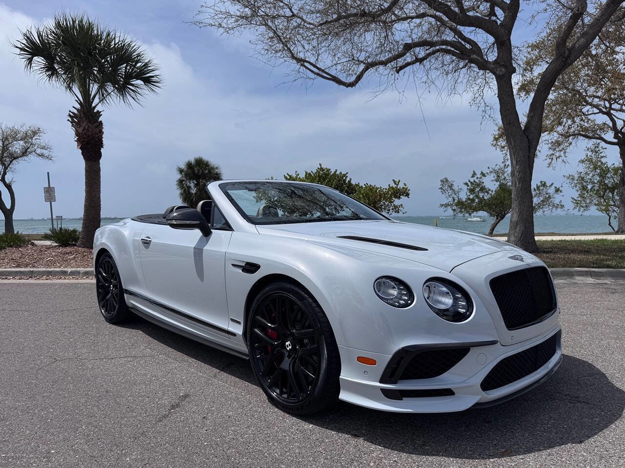 Used 2018 Bentley Continental GT Supersports image 2