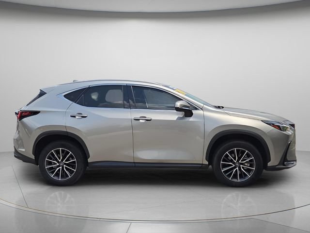 Used 2024 Lexus NX 350 AWD image 9
