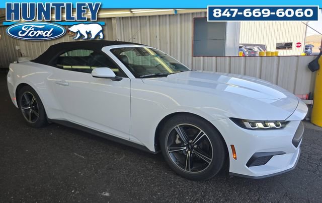 Used 2024 Ford Mustang Premium image 3