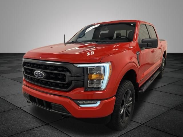 Used 2021 Ford F150 XLT w/ Equipment Group 302A High AWD/4WD image 3