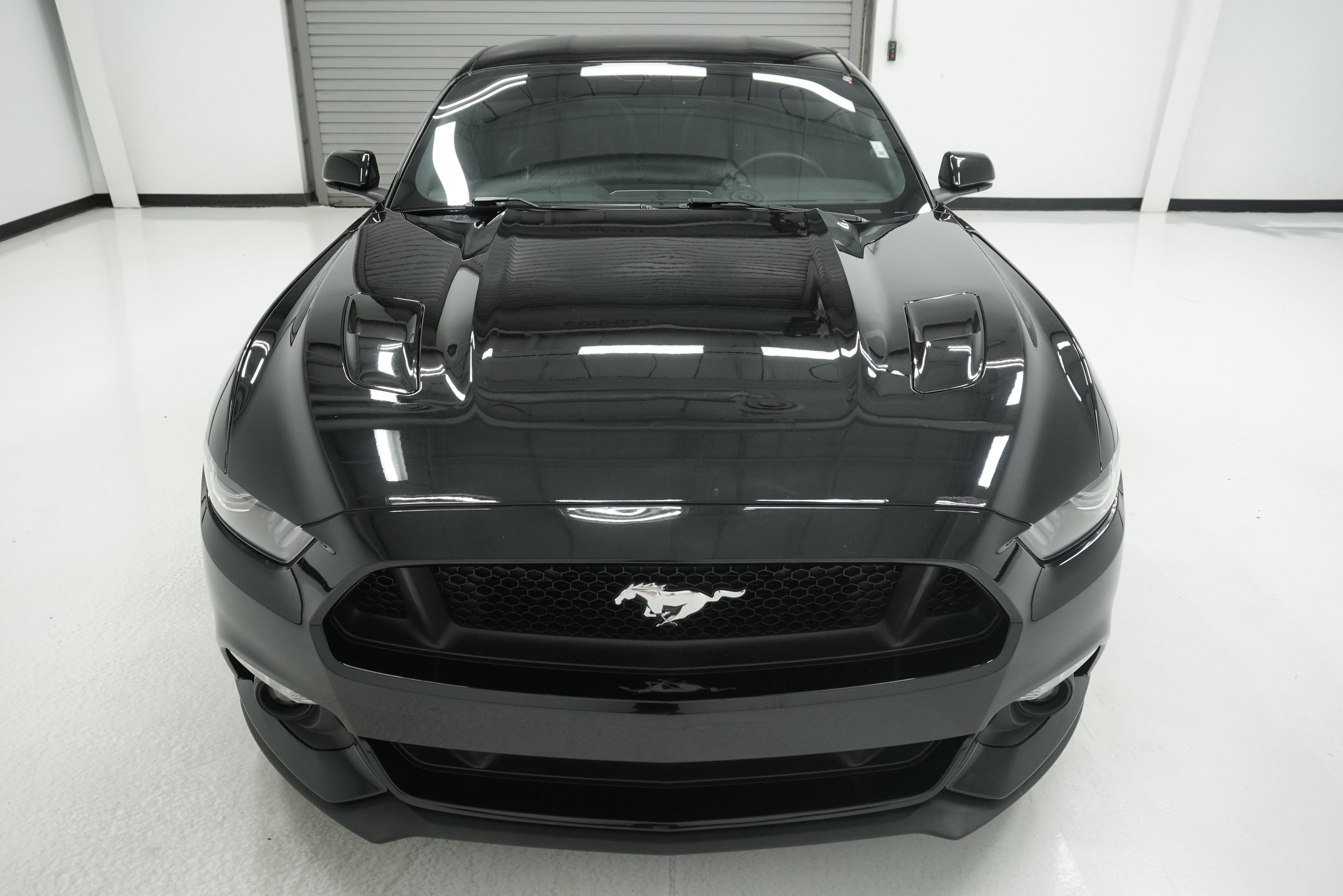 Used 2016 Ford Mustang GT Premium w/ Equipment Group 401A RWD image 2