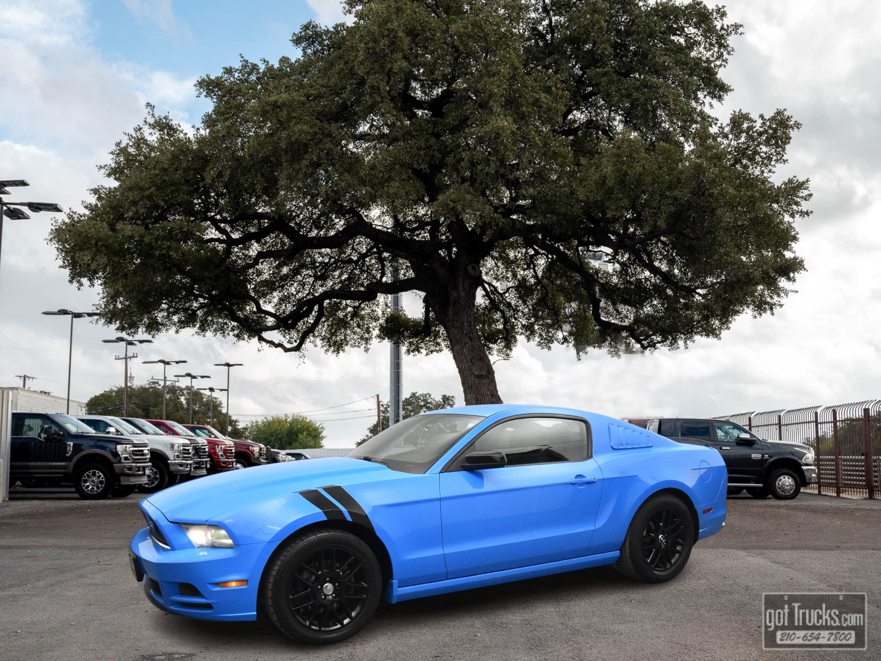 Used 2014 Ford Mustang Coupe w/ Equipment Group 102A image 1