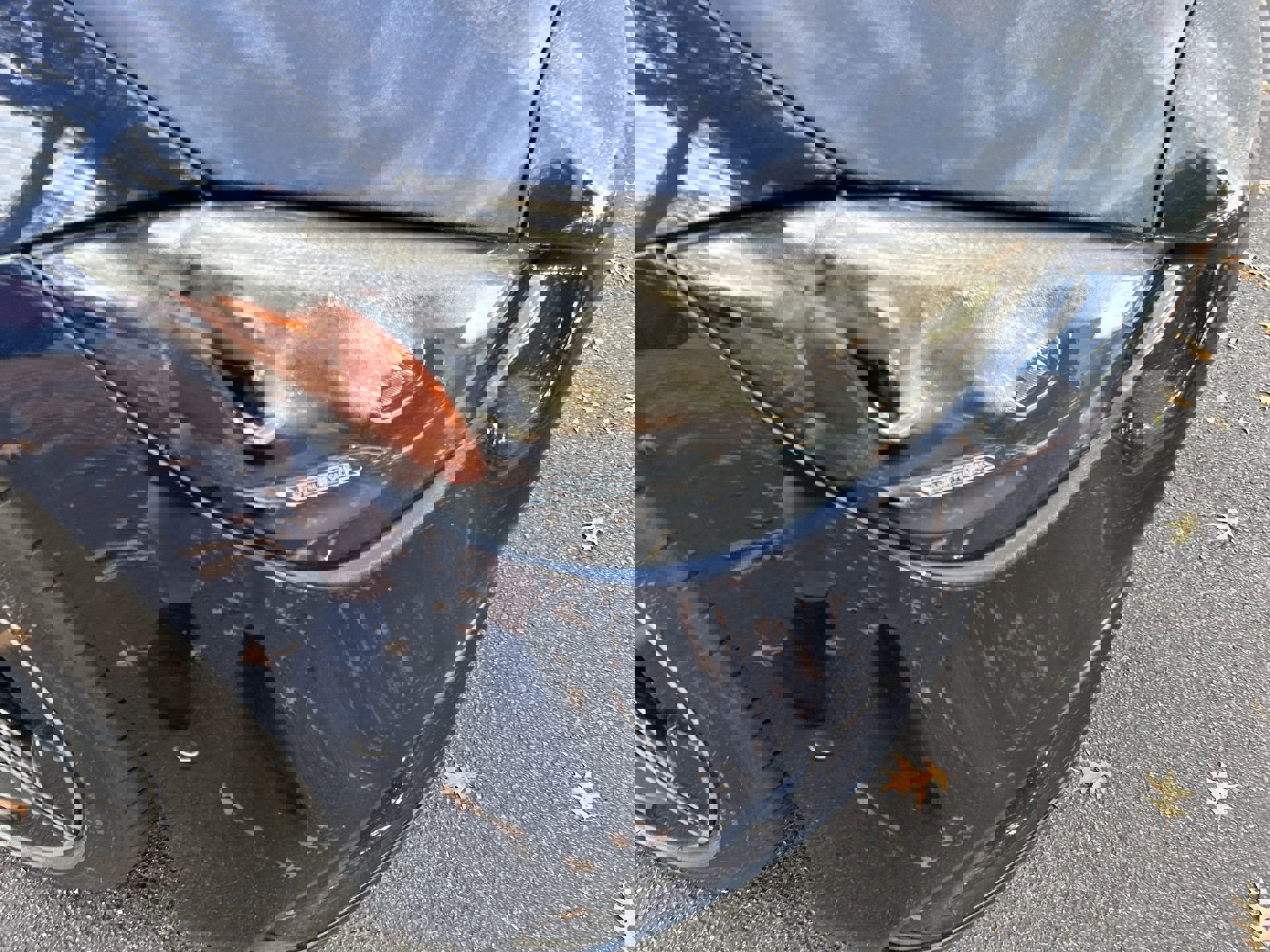 Used 2023 Mercedes-Benz C 300 Sedan image 11