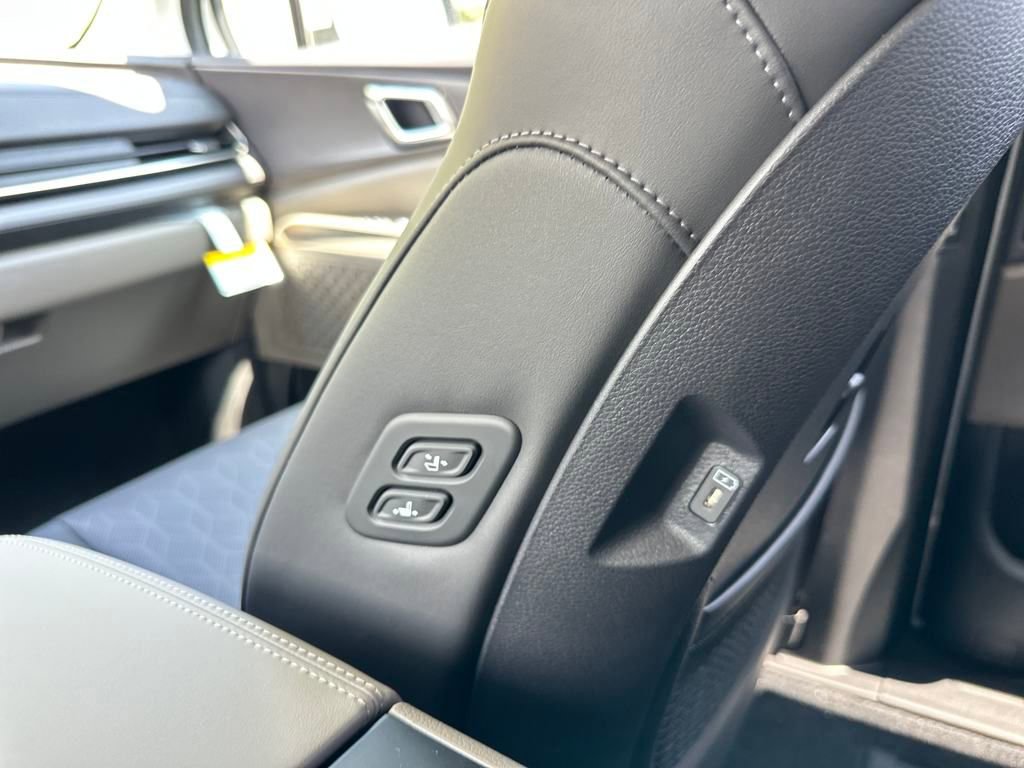 New 2025 Kia Carnival EX image 18
