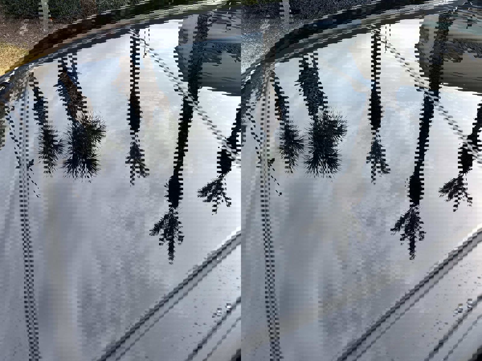 Certified 2024 Cadillac XT4 Sport image 11