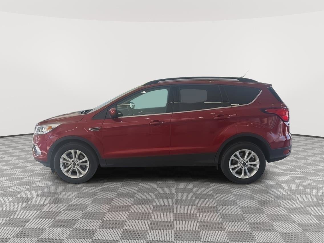 Used 2019 Ford Escape SEL AWD/4WD image 2