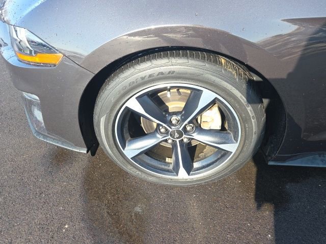 Certified 2023 Ford Mustang Coupe w/ Equipment Group 101A image 12