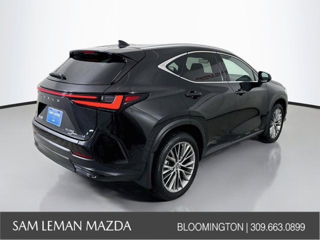 Used 2025 Lexus NX 350 AWD w/ Premium Package image 7