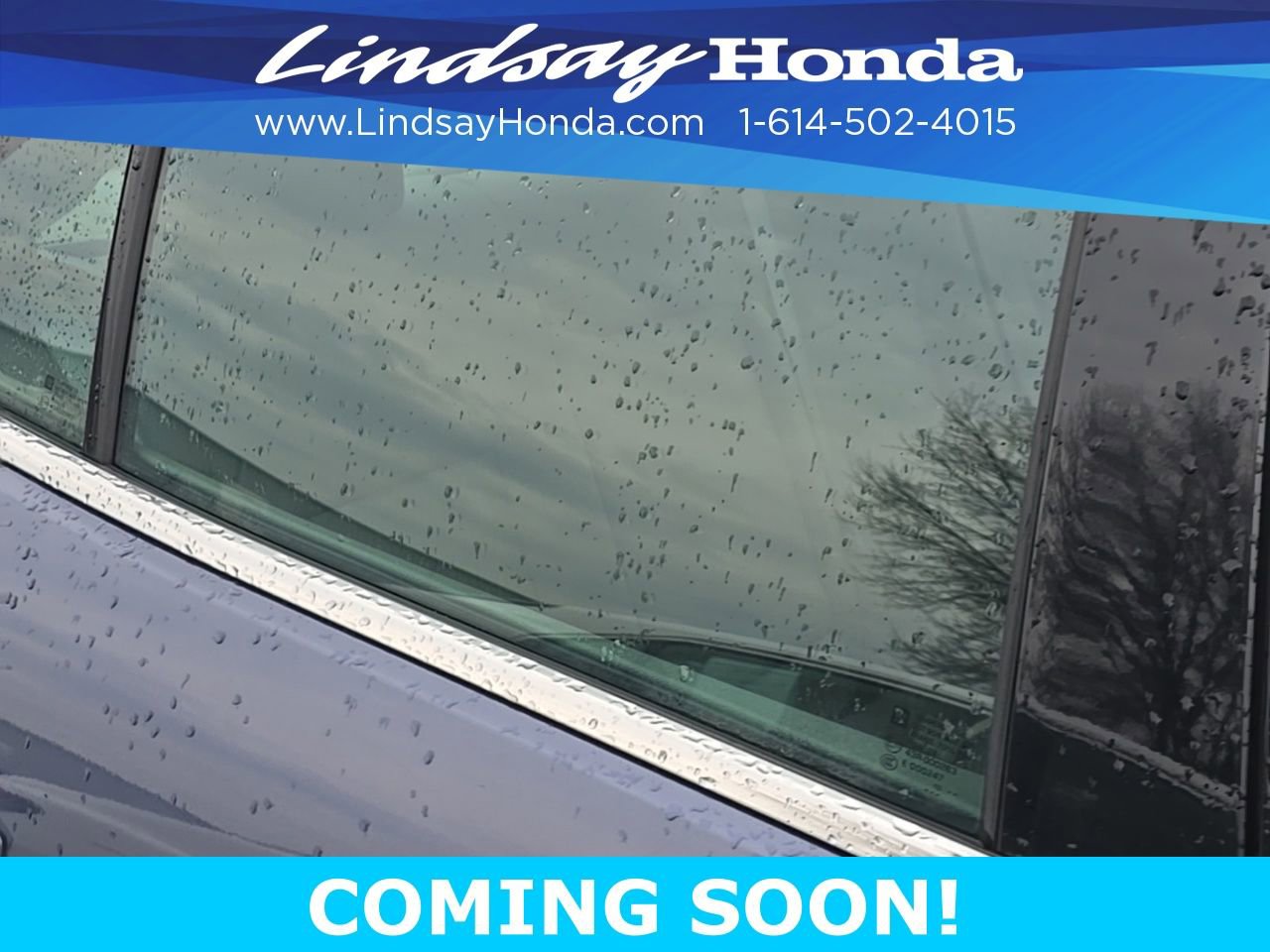 Used 2014 Chevrolet Malibu LS w/ Protection Package image 10