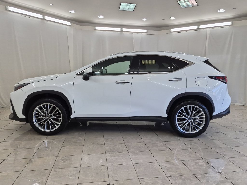 Certified 2026 Lexus NX 350 AWD w/ Accessory Package (2T) image 5