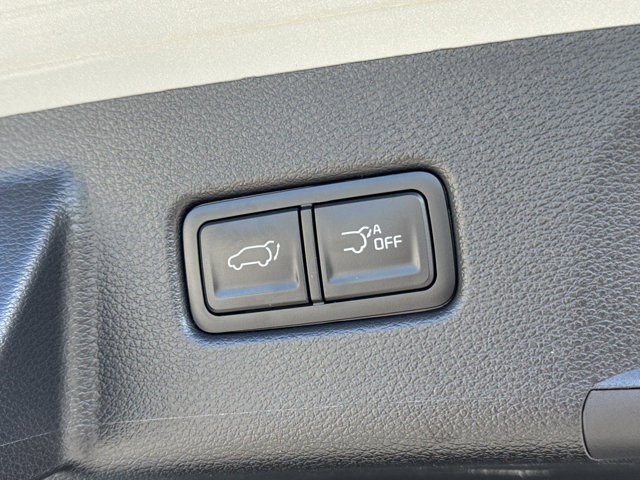 Used 2024 Kia Telluride SX Prestige X-Line AWD/4WD image 11