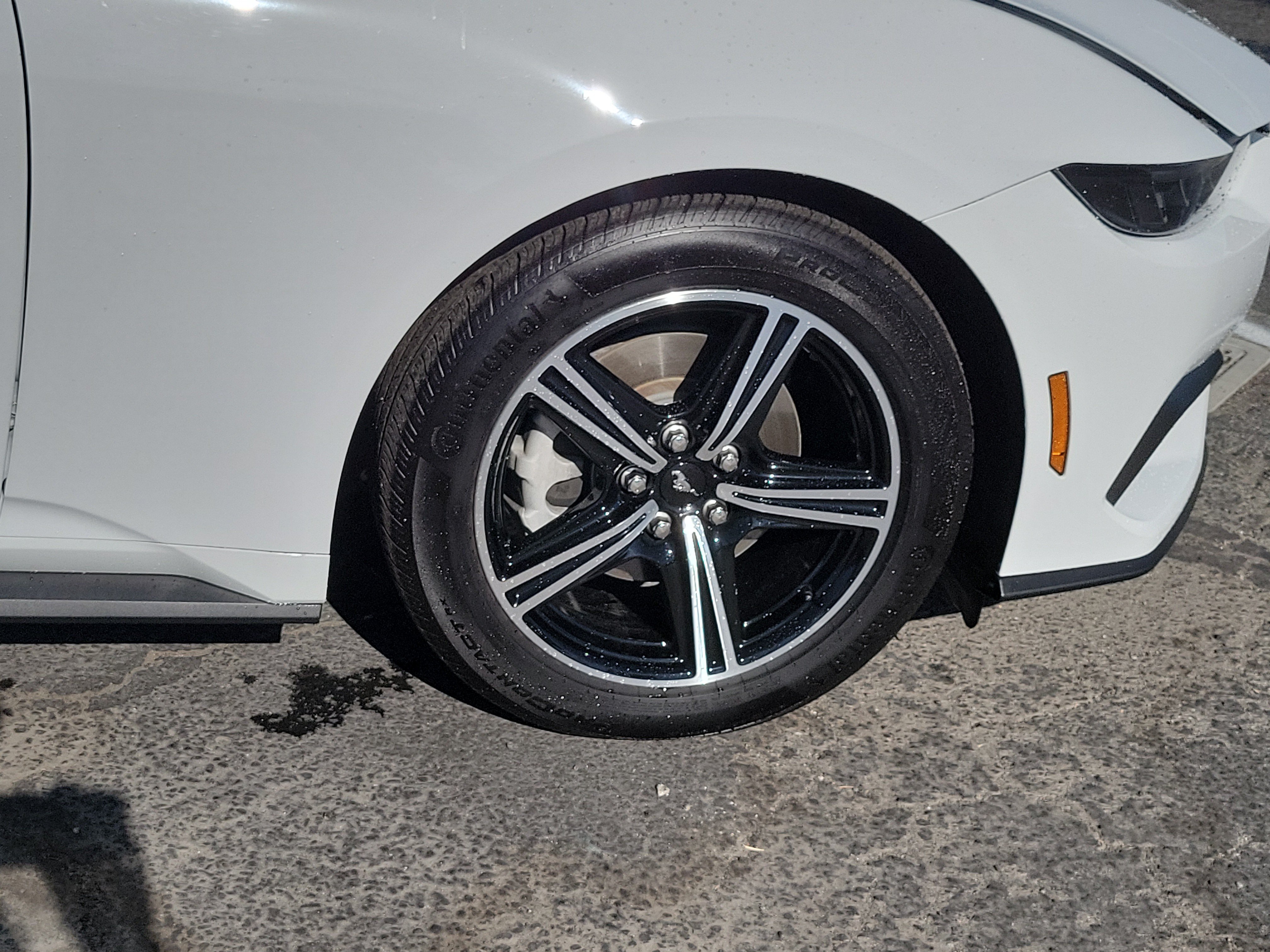 Used 2025 Ford Mustang Coupe RWD image 14