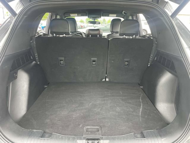Used 2024 Ford Escape ST-Line image 6