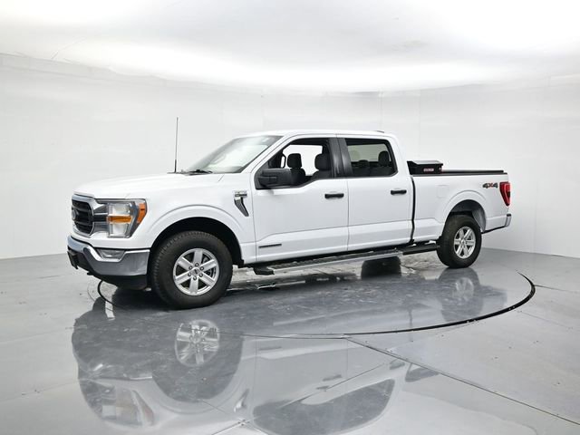Used 2022 Ford F150 XLT w/ Equipment Group 301A Mid image 5