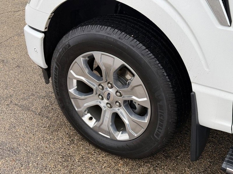 Used 2021 Ford F150 Platinum w/ Equipment Group 701A High image 10