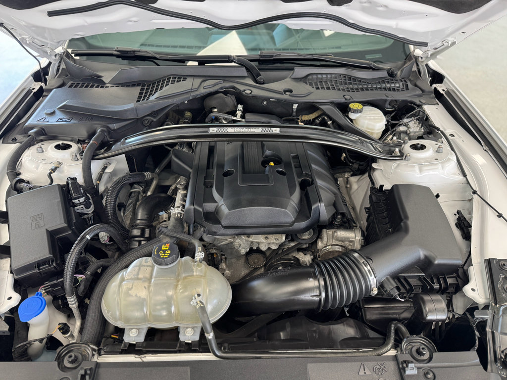 Used 2021 Ford Mustang EcoBoost w/ 2.3L High Performance Package image 29