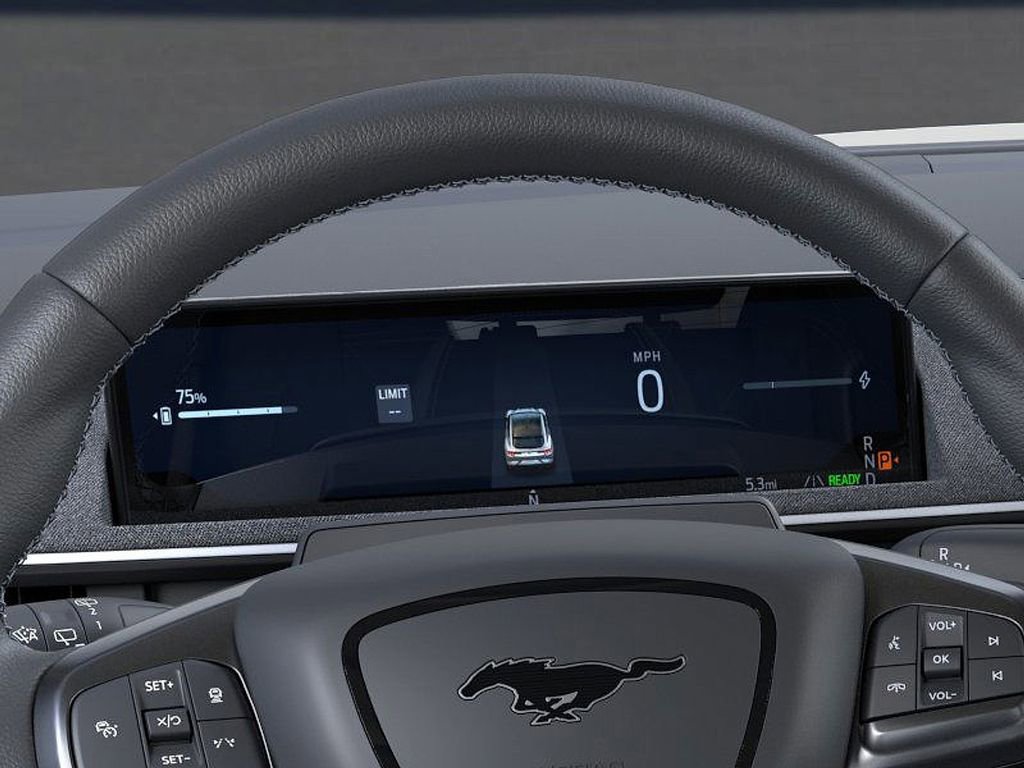 New 2025 Ford Mustang Mach-E GT w/ Interior Protection Package image 13