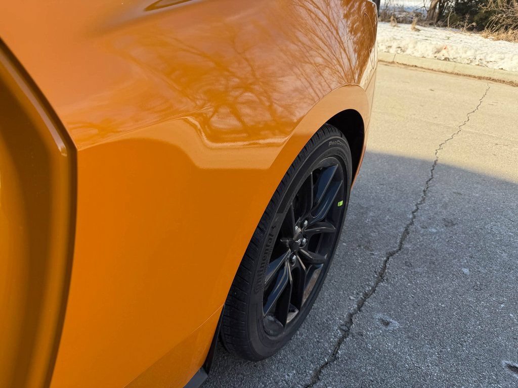 New 2026 Ford Mustang GT w/ Mustang Nite Pony Package RWD image 14