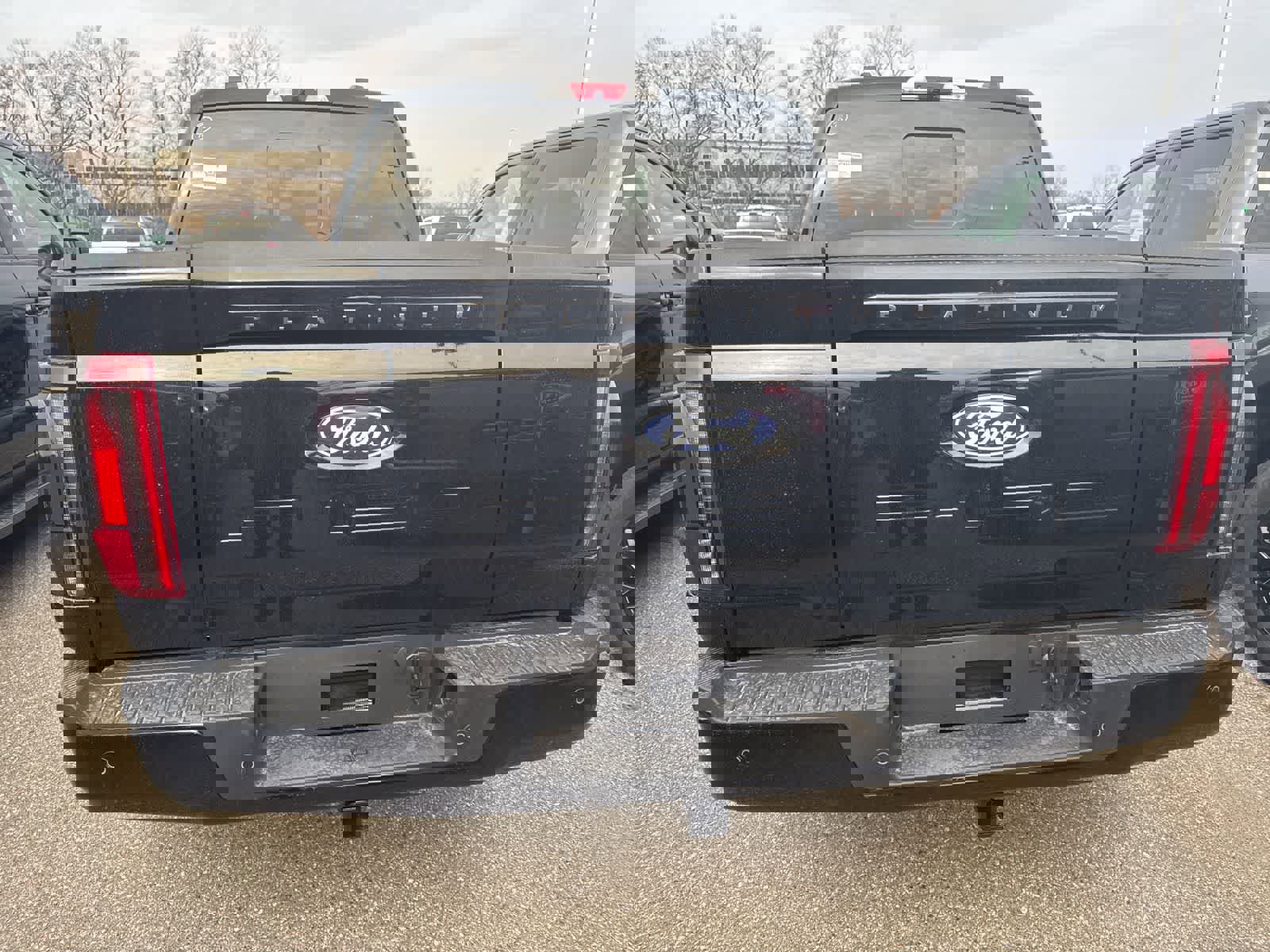 New 2026 Ford F150 Platinum image 12