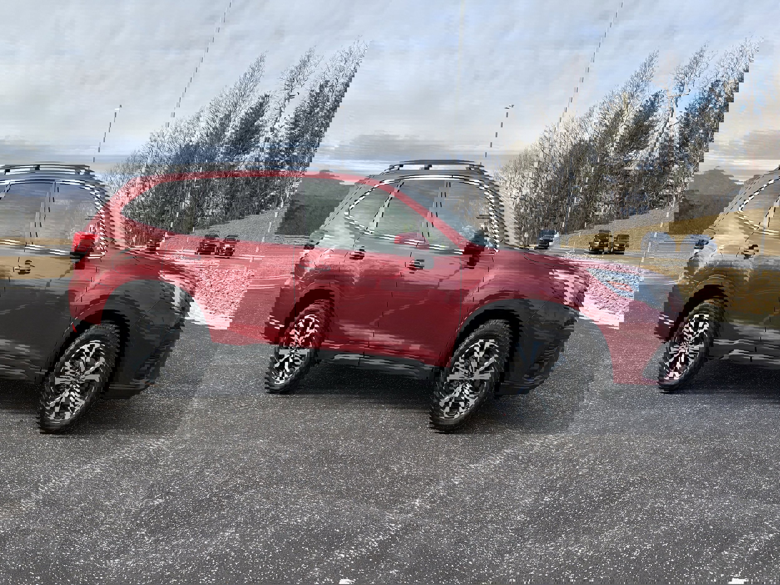 Certified 2024 Subaru Forester Limited image 7