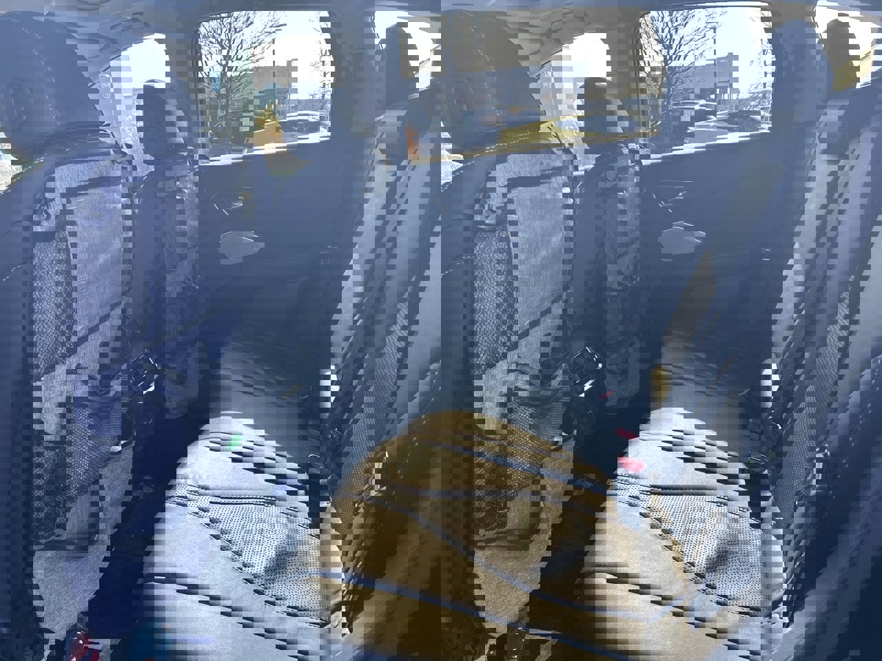 Used 2019 Acura RDX w/ Technology Package image 9