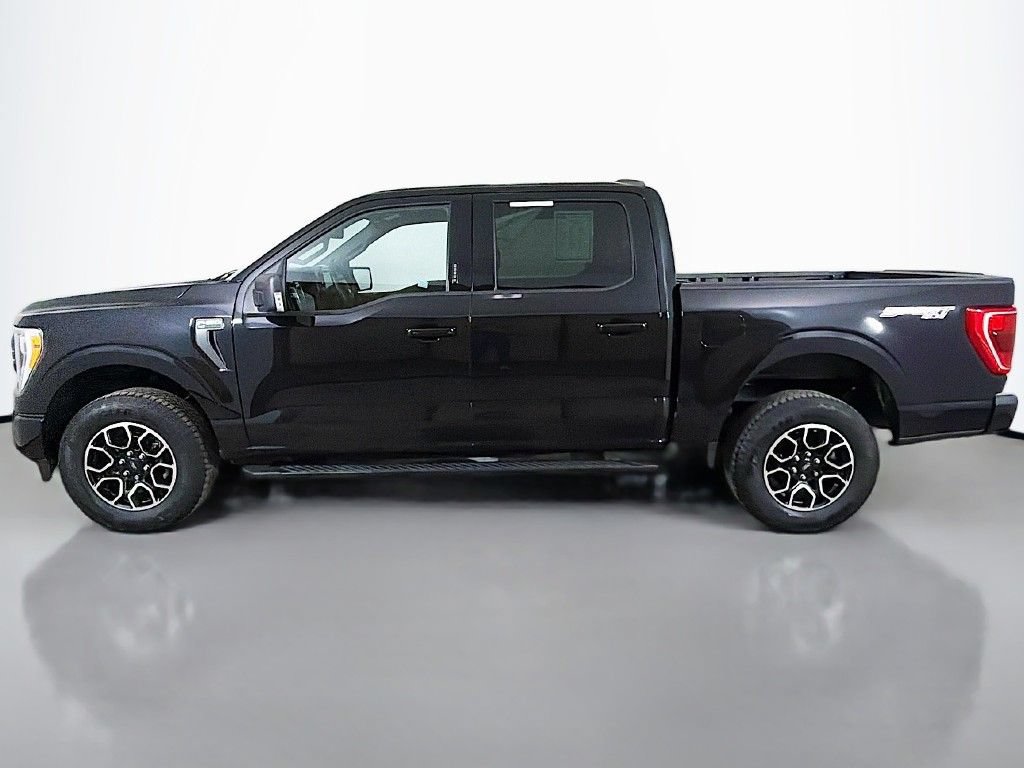 Used 2023 Ford F150 XLT w/ Equipment Group 302A High AWD/4WD image 15